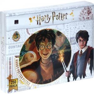 Laço Harry Potter 250 Parça Çocuk Puzzle