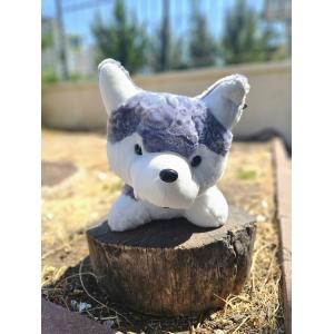 50 Cm Husky Kurt Peluş Oyuncak